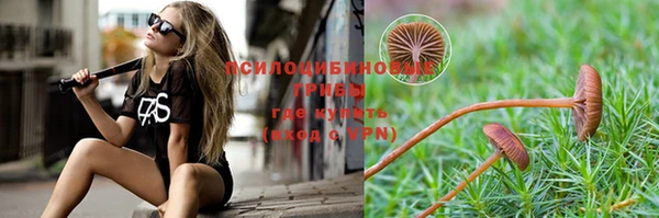 дурь Вязьма