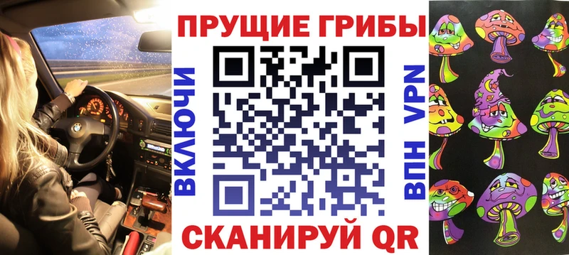 kraken как войти  что такое   маркетплейс телеграм  Галлюциногенные грибы Cubensis  Кисловодск 